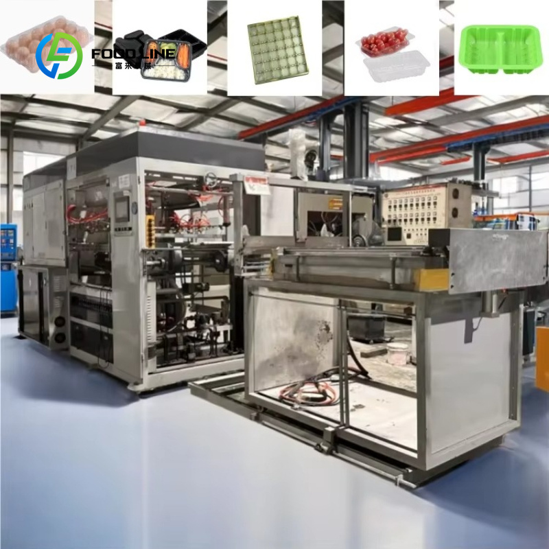 Customized Automatic PVC/PET/P - Food Storage Technology review and price