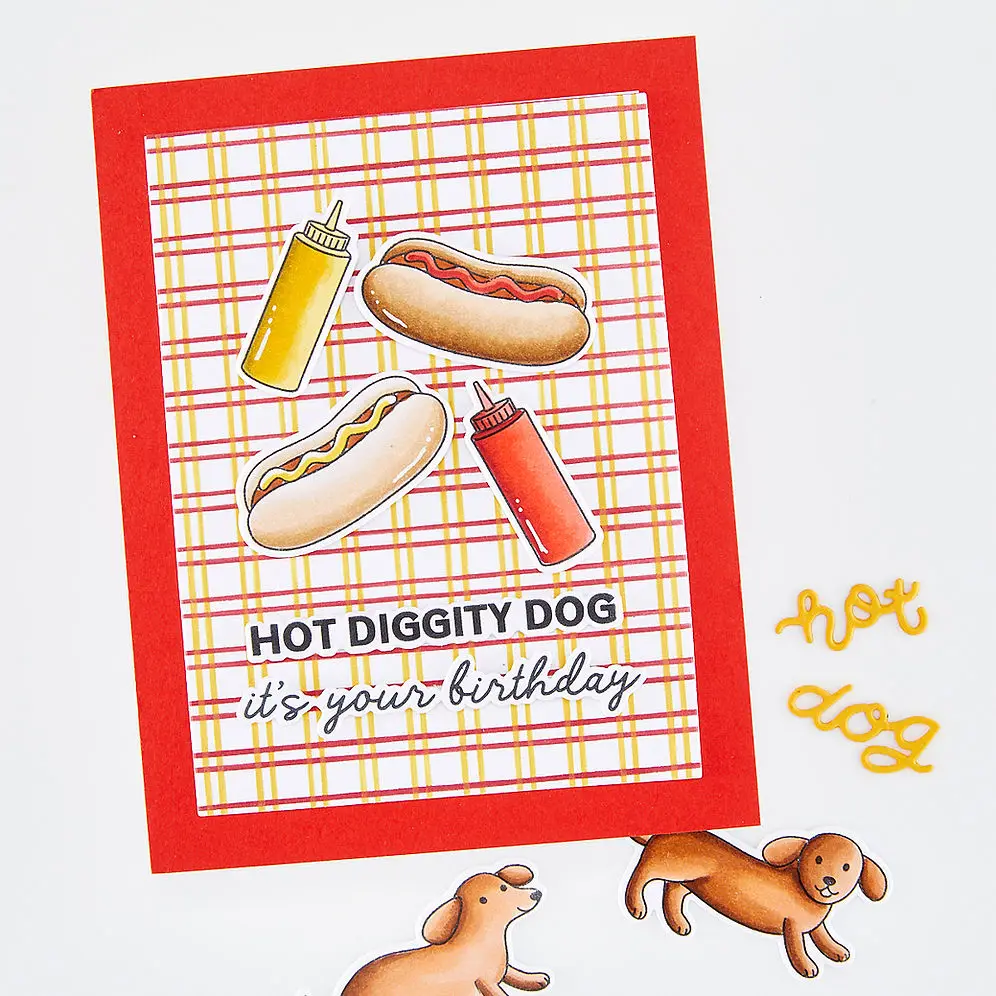 Hot Diggity Dog Squeeze Bottle - Food Storage Dog review and price