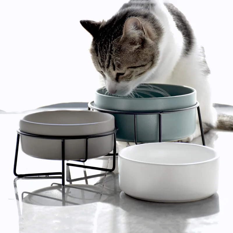 Double Cat Food Water Bowls wi - Food Storage Dog review and price