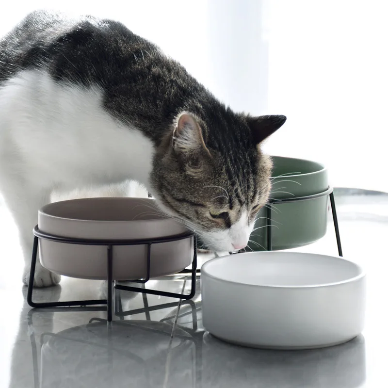 Double Cat Food Water Bowls wi - Food Storage Dog review and price