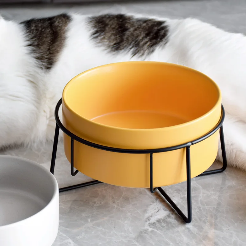 Double Cat Food Water Bowls wi - Food Storage Dog review and price