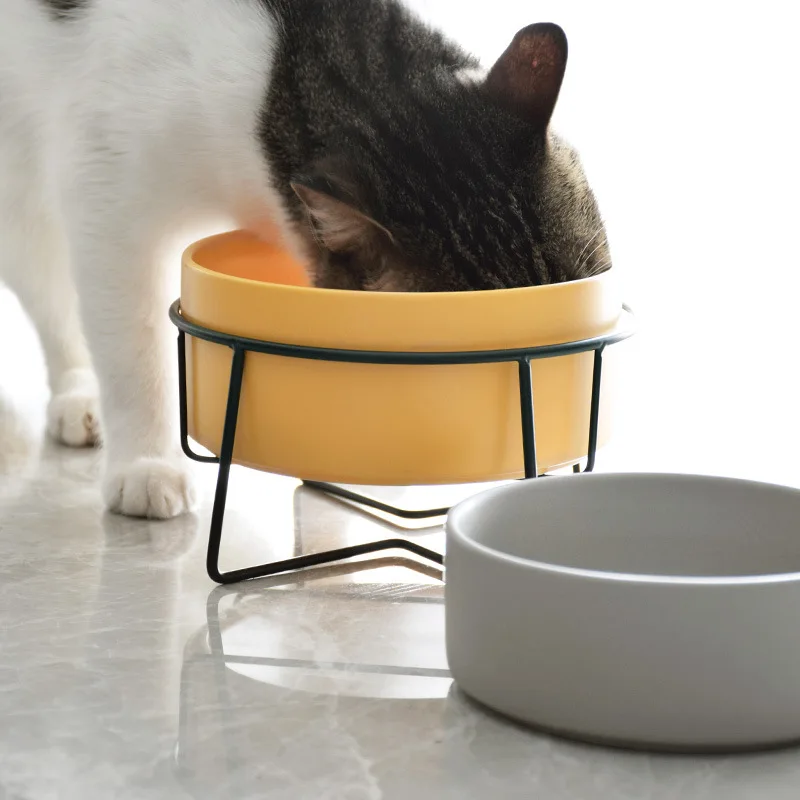 Double Cat Food Water Bowls wi - Food Storage Dog review and price