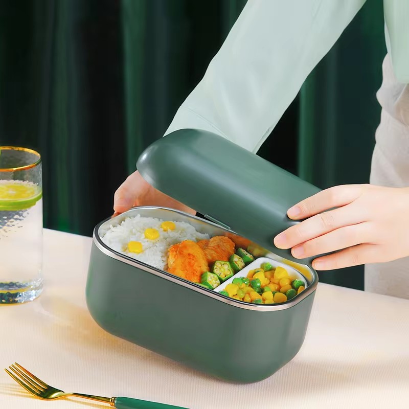 Portable Electric Food Warmer  - Portable Food Warmer review and price